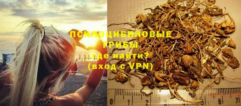 Псилоцибиновые грибы MAGIC MUSHROOMS Оханск